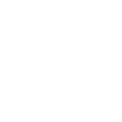 Collection image for: Wolfram